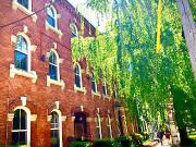 Spacious Renovated 2 Bedroom In Downtown Heritage Building