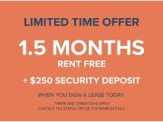 Spacious Renovated Downtown Apartment