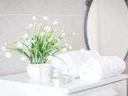 Spacious studio in the area Bande Nere