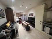 Spacious Studio NW11 Modern
