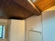 Spaziosa stanza condivisa inVia Pisana
