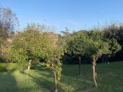 Spazioso appartamento con 4 camere da letto