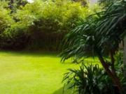 Special 5 Bedroom House for Sale in Forbes Park