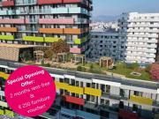 Special Opening Offer: 2 months rent free!