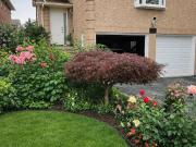 Specious 3 Bedroom house close to transportation and plaza