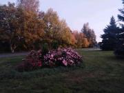 Speckgürtel... Speckgürtel...