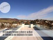 Spektakuläres Penthouse in Neustift am Walde mit...