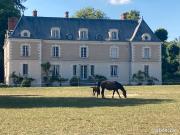 Splendide château XVIII XX, 1074m2 au sol dont 775m2 hab...