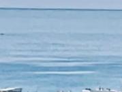 Splendide dernier étage Vue Mer à Cimiez