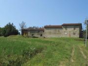 Splendido Podere di circa 13 Ettari con Rustici