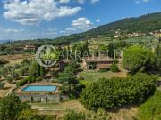 Splendido Podere Panoramico con Oliveto e Piscina a San...
