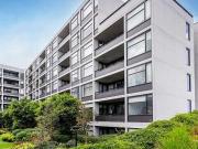 Split level contemporary extravagance