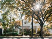 Split with Mezzanine for Rent in Dasmarinas Village...