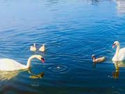 Sportsmans Ave, Freeport, Plot For Sale