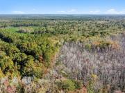 Spring Grove Rd, Adams Run, Plot For Sale