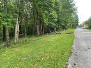 Spring Taxiway Crk Lots And,albany, Plot For Sale