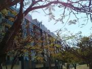 SQN 211, ASA NORTE, 3 quartos de 95 m² 2 vagas