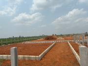 Sree City Legend 1889 Sq. Yd. Plot in Kankipadu...