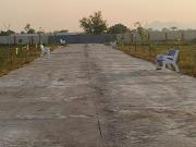 Sri Bhramara Sunsiri Proj 183 Sq. Yd. Plot in Kankipadu...