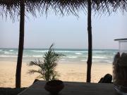 Sri Lanka Immobilie3 Häuser2000qm Grundstück