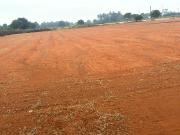 Sri Sai Jy Property Chin 241 Sq. Yd. Plot in Mangalagiri...