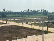 Sri Sai Jy Property Kanki 520 Sq. Yd. Plot in Kankipadu...