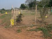 Sri Sai Jy Property Tadep 2400 Sq. Ft. Plot in Tadepalli...