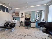 ST PIERRE DES LANDES Pays de la Loire 53500 88509043