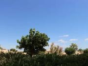 ST PIERRE LA MER T2 VUE MER REZ DE CHAUSSEE LOCATION...