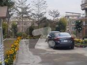 St Size 40 Ft Brand New Double Story Location I 10