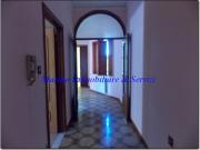 Stabile/Palazzo 15 vani 550mq