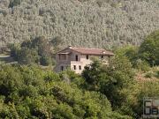 Stabile/Palazzo 330mq