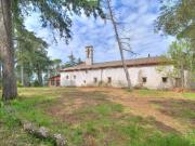 Stabile/palazzo in vendita a Lugnano in Teverina strada...