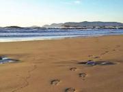 Stabilimento balneare in vendita a Massa 1500 mq Rif:...