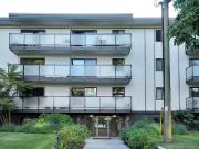 Stadacona Apartments 1 Bedroom Apartment for Rent at...