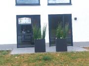 Stadtnahe hochwertige 2,5 Zimmer ETW mit Terrasse in...