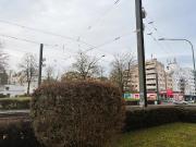 Stadtwohnung Nähe Finanzamt mit zwei Balkonen und Garage