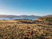 Stage 1 New Release – Now Selling