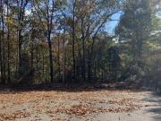 Stagecoach Cir Lot,birmingham, Plot For Sale