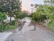 Standard Size 1 Kanal Plot For Sale In Valencia Town