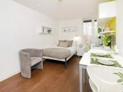 Standard Studio Gold Plus