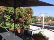 Stanza doppia uso singola in Attico con 100mq di...