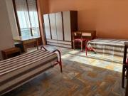 Stanza in affitto a Siena