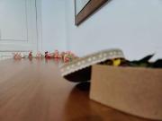 Stanza in affitto in appartamento con 4 camere da letto... Stanza in affitto in appartamento con 4 camere da letto...