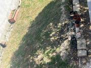 Stanza in affitto a Malafede, Roma