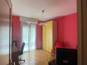 Stanza in appartamento a studentessa