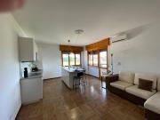 Stanza in appartamento in affitto a Udine