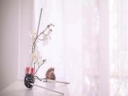 Stanza in Piazzetta Guastalla