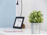 Stanza in Viale Carlo Espinasse