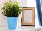 Stanza in Viale Tibaldi